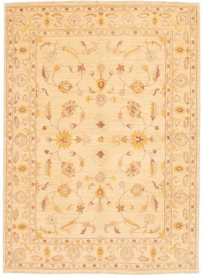 Bordered  Traditional Ivory Area rug 5x8 Afghan Hand-knotted 331080