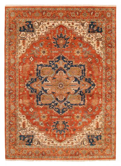 Bordered  Traditional Brown Rectangle 8x10 Indian Hand-knotted 415115