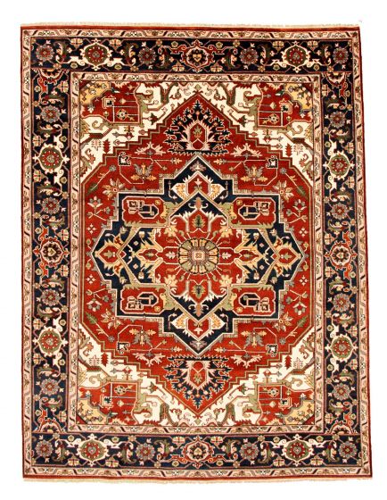 Bordered  Traditional Brown Area rug 9x12 Indian Hand-knotted 344207