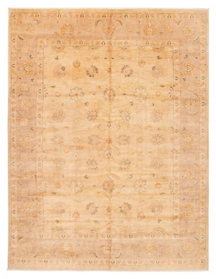 Bordered  Transitional Ivory Area rug 9x12 Pakistani Hand-knotted 391876
