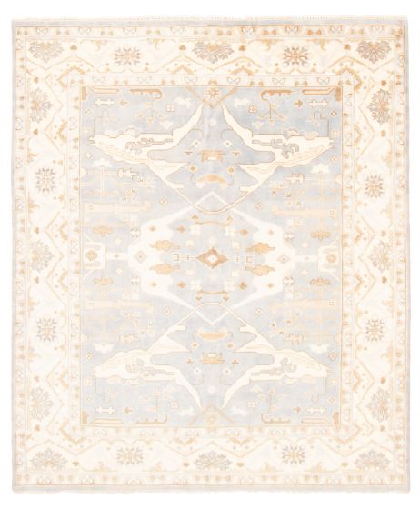 Bordered  Traditional Grey Area rug 6x9 Indian Hand-knotted 369620