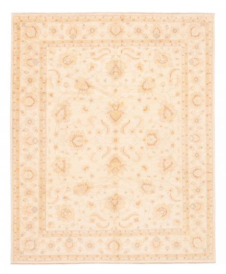 Bordered  Traditional Ivory Area rug 6x9 Afghan Hand-knotted 379104