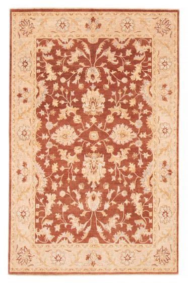 Bordered  Traditional Brown Area rug 6x9 Afghan Hand-knotted 379122