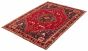 Persian Style 5'10" x 8'6" Hand-knotted Wool Rug 