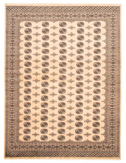 Bordered  Traditional Ivory Area rug 8x10 Pakistani Hand-knotted 363588