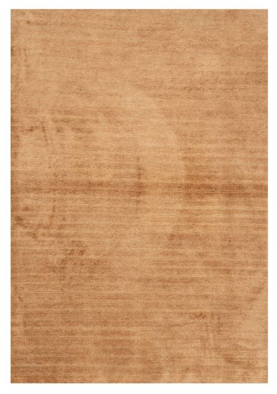 Transitional Brown Area rug 3x5 Nepal Hand-knotted 375131