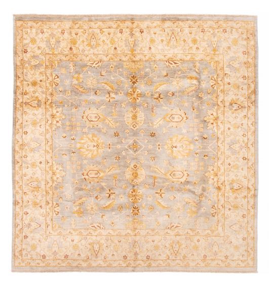Bordered  Traditional Blue Area rug Square Pakistani Hand-knotted 379202