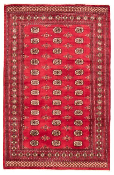 Bordered  Tribal Red Area rug 5x8 Pakistani Hand-knotted 359512