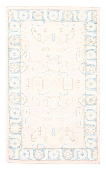 Bordered  Transitional Pink Area rug 3x5 Pakistani Hand-knotted 382103