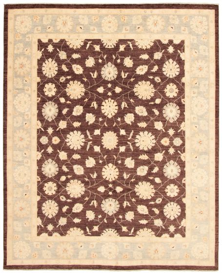 Bordered  Traditional Brown Area rug 6x9 Pakistani Hand-knotted 331042