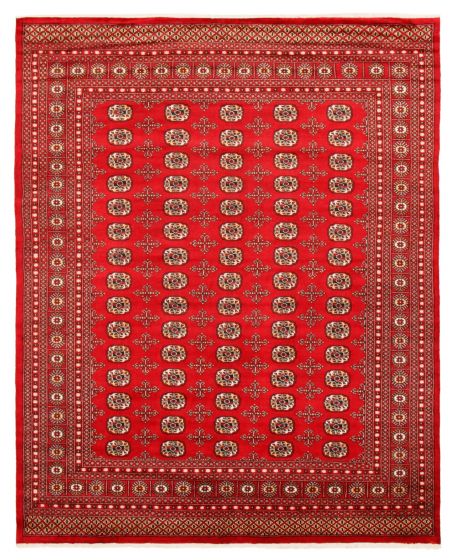 Bordered  Traditional Red Area rug 6x9 Pakistani Hand-knotted 363294