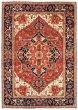 Bordered  Traditional Brown Area rug 10x14 Indian Hand-knotted 338607