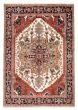 Bordered  Traditional Ivory Area rug 9x12 Indian Hand-knotted 378907