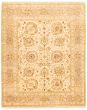 Bordered  Traditional Ivory Area rug 6x9 Indian Hand-knotted 335512