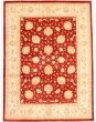 Bordered  Traditional Red Area rug 9x12 Afghan Hand-knotted 346754