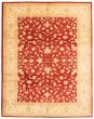Bordered  Traditional Red Area rug 9x12 Pakistani Hand-knotted 362448