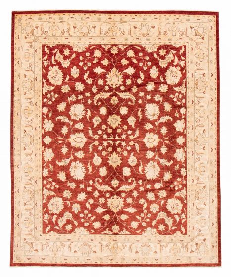 Bordered  Traditional Red Area rug 6x9 Afghan Hand-knotted 379105