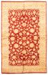 Bordered  Traditional Red Area rug Unique Afghan Hand-knotted 335366