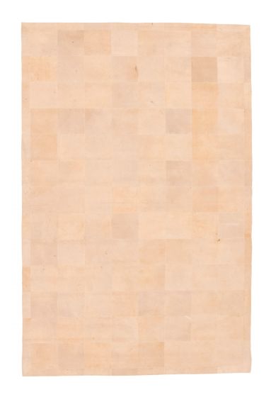 Accent  Transitional Ivory Area rug 5x8 Argentina Handmade 350720