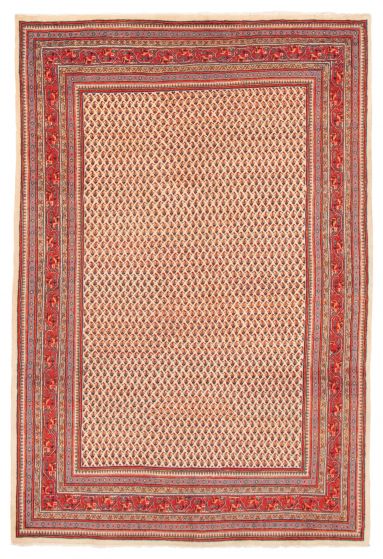 Bordered  Traditional Ivory Area rug 8x10 Persian Hand-knotted 364862
