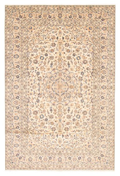 Bordered  Traditional Ivory Area rug Unique Persian Hand-knotted 373719