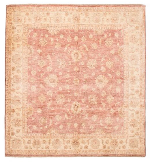 Bordered  Traditional Pink Area rug Square Pakistani Hand-knotted 387046