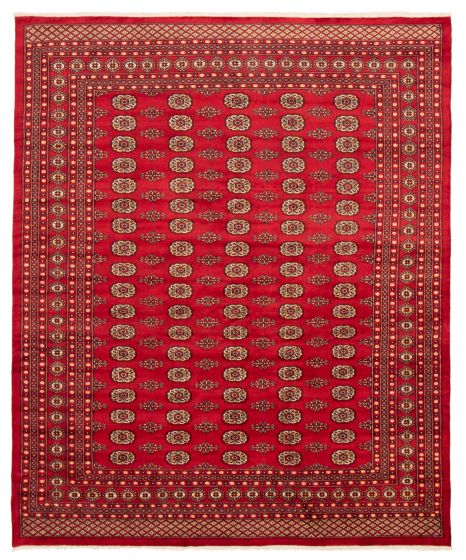 Bordered  Traditional Red Area rug 6x9 Pakistani Hand-knotted 363578
