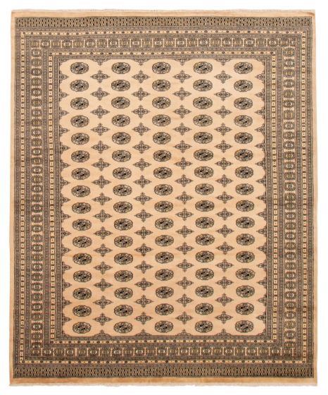 Bordered  Traditional Ivory Area rug 6x9 Pakistani Hand-knotted 363582