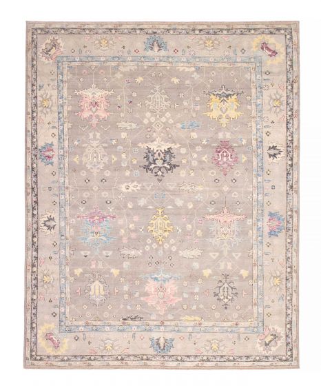 Bordered  Transitional Grey Area rug 12x15 Pakistani Hand-knotted 382340