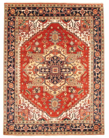 Bordered  Traditional Brown Area rug 9x12 Indian Hand-knotted 344104