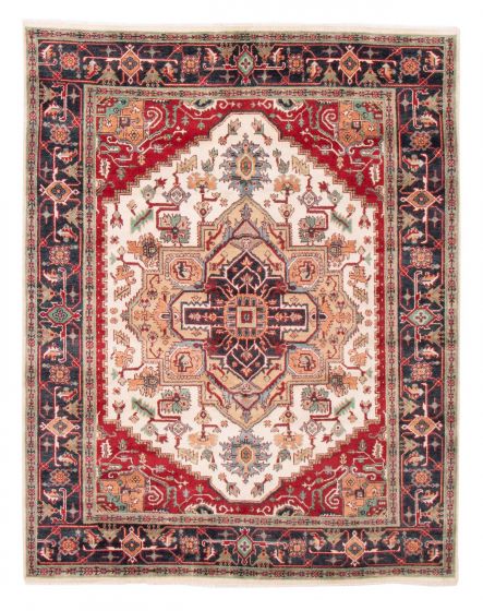 Bordered  Traditional Ivory Area rug 6x9 Indian Hand-knotted 377555