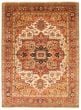 Bordered  Traditional Ivory Area rug 9x12 Indian Hand-knotted 354957