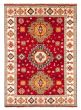 Bordered  Traditional Red Area rug 5x8 Indian Hand-knotted 370524