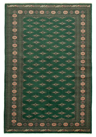 Bordered  Traditional Green Area rug 6x9 Pakistani Hand-knotted 364238
