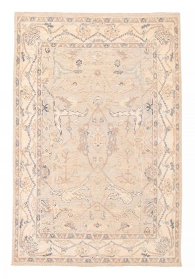 Bordered  Transitional Grey Area rug 5x8 Pakistani Hand-knotted 381891