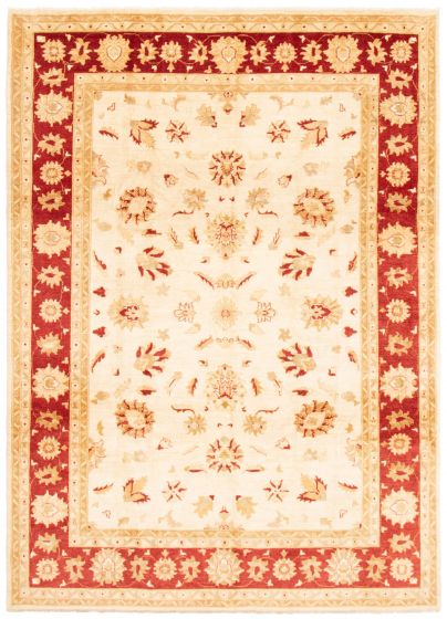 Bordered  Traditional Ivory Area rug 8x10 Pakistani Hand-knotted 362504