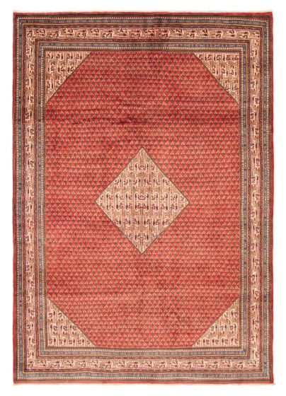 Bordered  Traditional Red Area rug 6x9 Indian Hand-knotted 373163