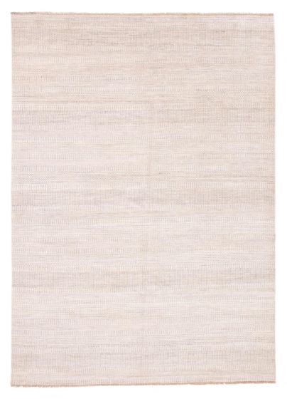 Transitional Grey Area rug 9x12 Indian Hand-knotted 378018