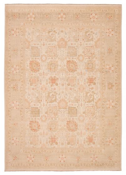 Traditional  Transitional Ivory Area rug 9x12 Pakistani Hand-knotted 392580