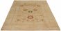 Floral  Transitional Ivory Area rug 6x9 Pakistani Hand-knotted 301689