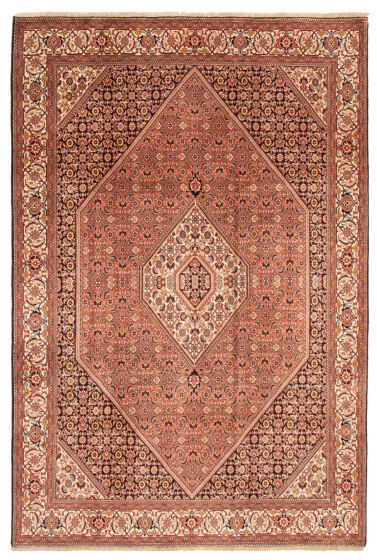 Bordered  Traditional Red Area rug 6x9 Persian Hand-knotted 358044