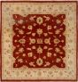 Bordered  Traditional Brown Area rug Square Afghan Hand-knotted 268659