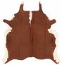 Accent  Skins & Hides Brown Area rug 4x6 Argentina Handmade 367815