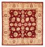 Bordered  Traditional Red Area rug Square Afghan Hand-knotted 387051