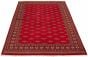 Bordered  Tribal Red Area rug 6x9 Pakistani Hand-knotted 328994