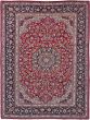 Traditional Red Area rug 9x12 Persian Hand-knotted 226368