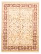 Bordered  Traditional Ivory Area rug 9x12 Pakistani Hand-knotted 317883