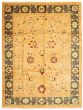 Bordered  Traditional Ivory Area rug 10x14 Pakistani Hand-knotted 338267