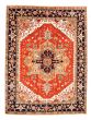 Bordered  Traditional Brown Area rug 9x12 Indian Hand-knotted 344206