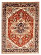 Bordered  Traditional Brown Area rug 9x12 Indian Hand-knotted 344221